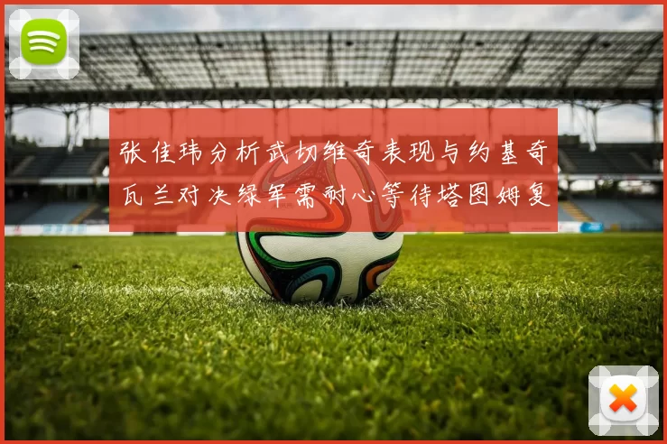 张佳玮分析武切维奇表现与约基奇瓦兰对决绿军需耐心等待塔图姆复出
